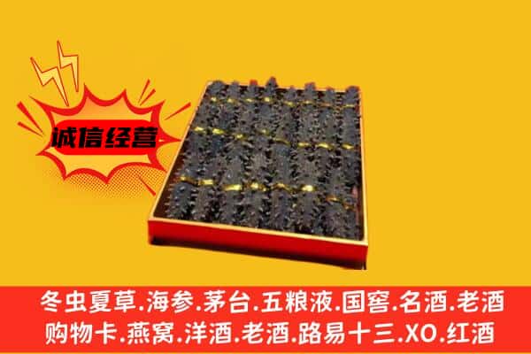 湛江坡头区回收海参